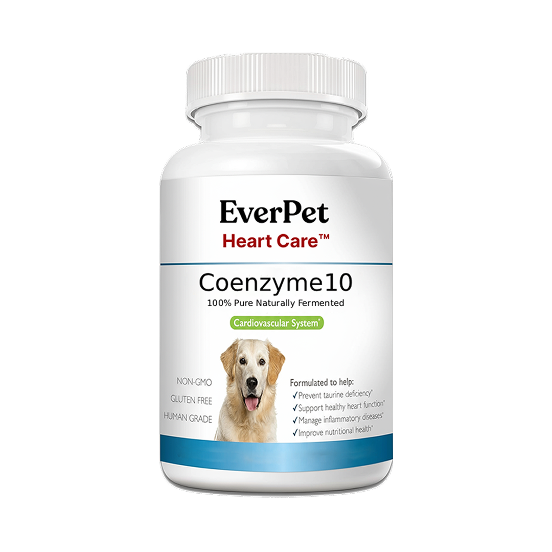 EverPet Heart Care